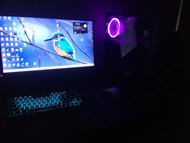 Pc gamer completo