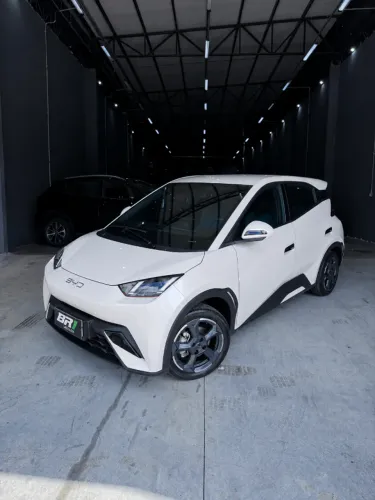 BYD Dolphin Mini (Elétrico) 2025