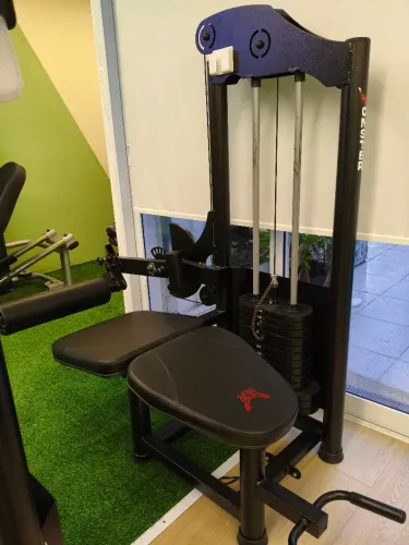 Mesa flexora