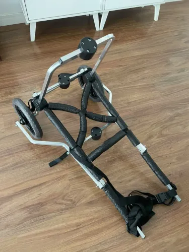 Cadeira de rodas para cachorro com paraplegia