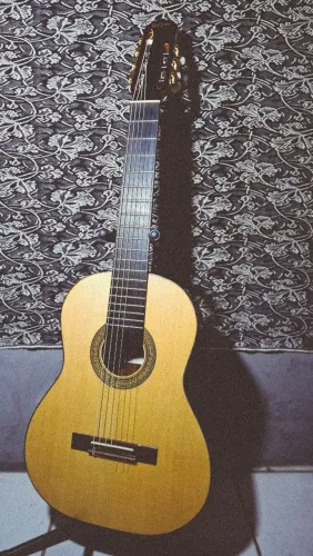 Violão rozini 7 cordas