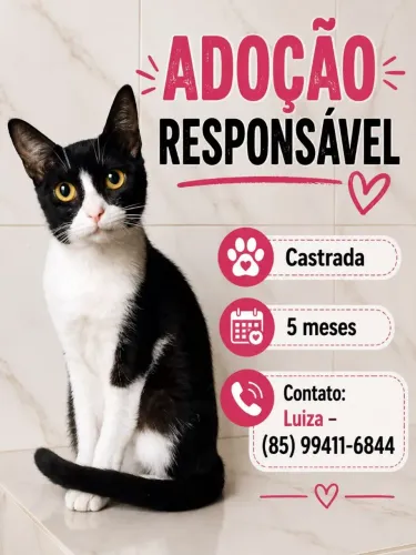 (((ADOTADA))) Gatinha Carinhosa para Adoção