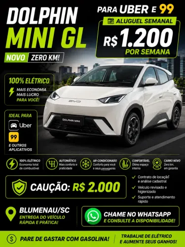 CARRO ELÉTRICO ZERO KM PARA ALUGAR.
