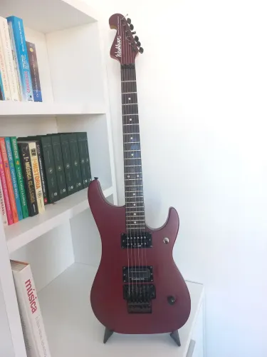 Washburn N2