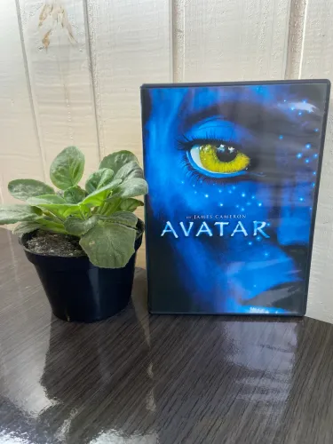 DVD Avatar