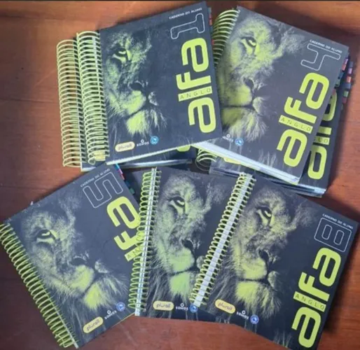 Caderno do Aluno - Anglo