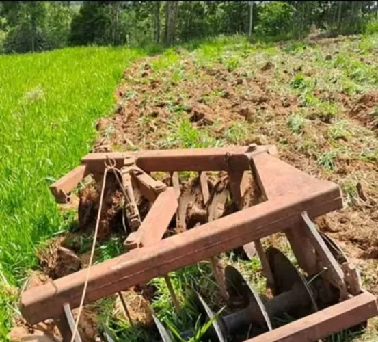 Trator agricola serviços