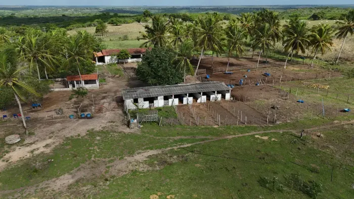 propriedade com 13.6 hectares na melhor região de Monte Alegre com boa estrutura