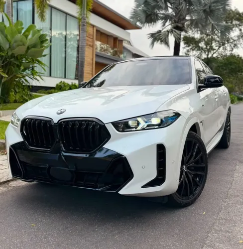 BMW X6 Xdrive 40I M Sport 3.0 Bi-TB (hib.) 2024