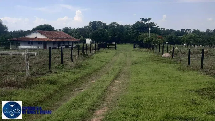 Fazenda de 100 alqueires na região de Mozarlândia, Go