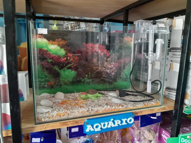 Aquário