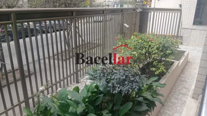 Apartamento : Padrão / Residencial / Vila Isabel