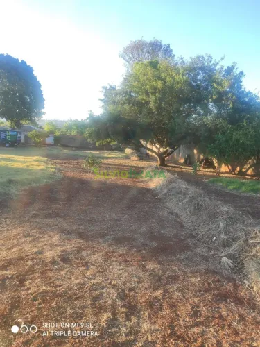 Terreno Amplo à Venda 1.075 m² | Sarandi-PR
