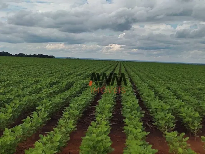 Fazenda à venda,  m² por R$ 61.560.000,00 - Zona Rural - Pedro Afonso/TO