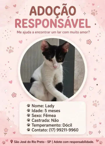 Gatinho