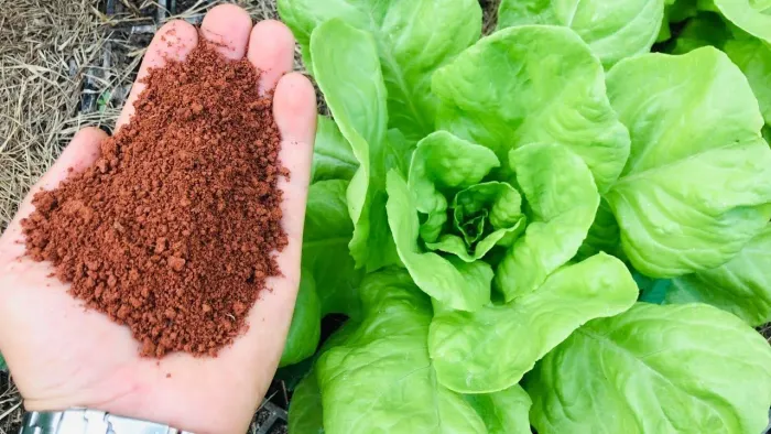 Terra  vermelha Adubada para Plantas - Ideal para Hortas e Jardins