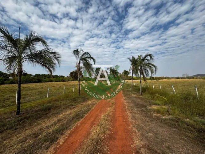 Fazenda de 29,5 alq em Matrinchã GO