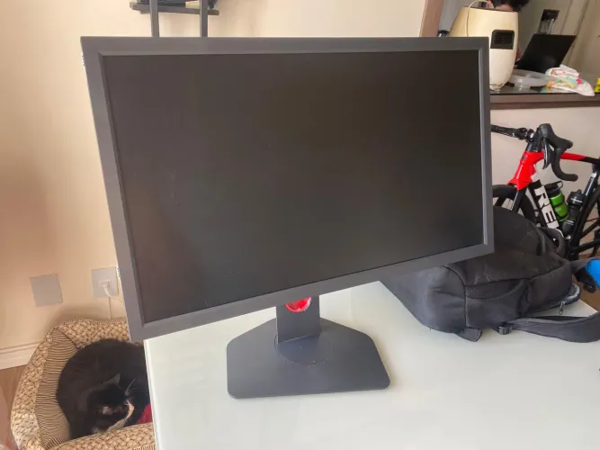 Monitor Gamer - BenQ Zowie XL2411K 24? 144Hz