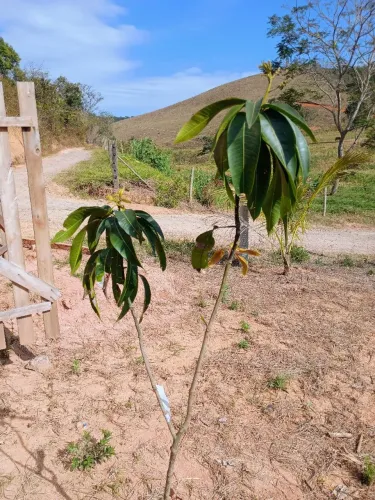 Excelente granja rural