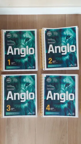 Cadernos Anglo 8 volumes - 1 ano