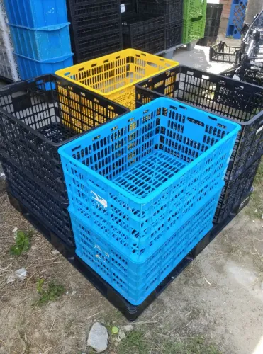 Caixas plástico organizadora..