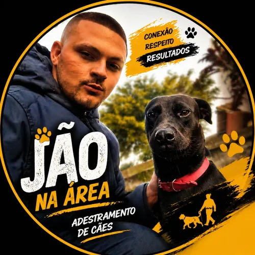 Adestrador e passeador de cães 