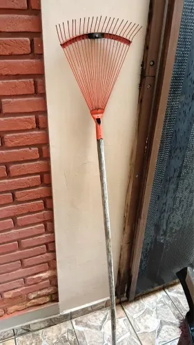 Rastelo