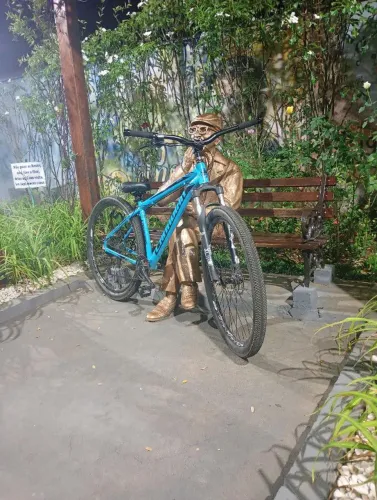 Bicicleta aro 29