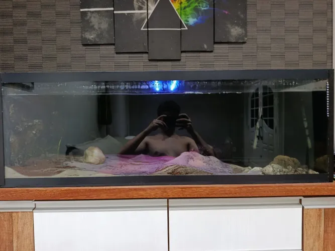 Aquário 1.2mts