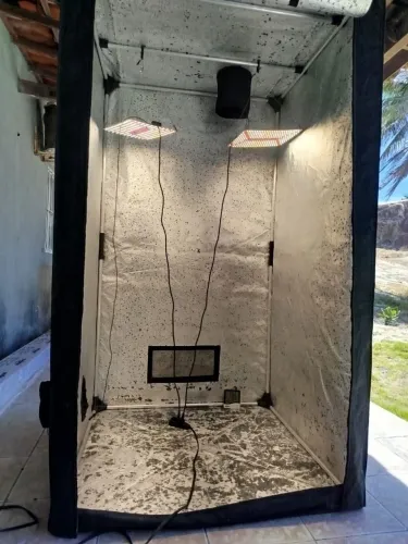 Estufa Greenhouse Combat 1x1x1,80 + Quantum board Samsung Lm281b+ 50w + higrômetro digital