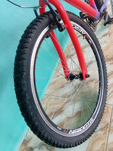 Bicicleta aro 24
