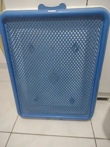 Sanitário higiênico para dog
