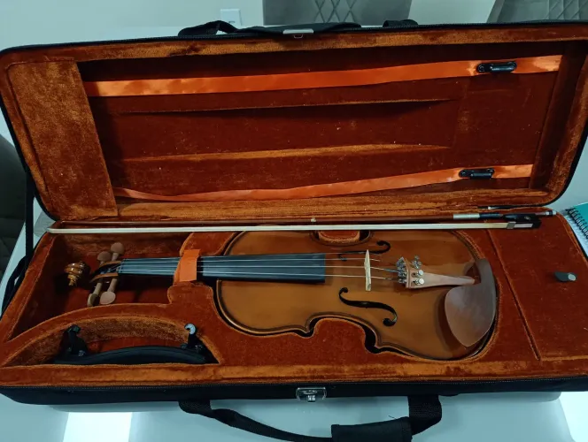 Violino 4×4
