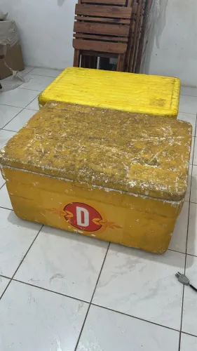 2 isopor de 100 litros