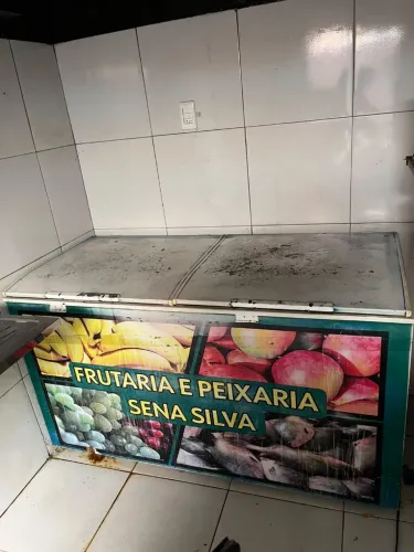 Frizer 500l