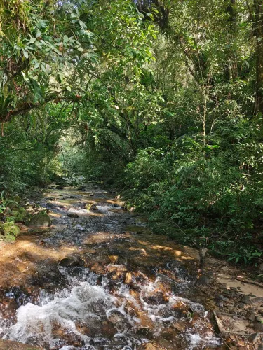 Sítio em Águas Mornas 4 hectares
