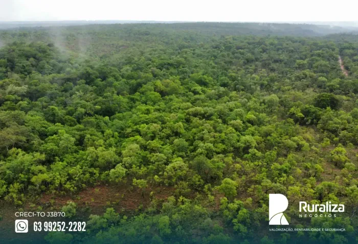 Rio Sono - TO 25 mil o alqueire, exclusiva para atividade de pecuária rica em madeiras