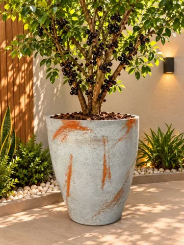 Vaso para Planta Frutifera porte grande