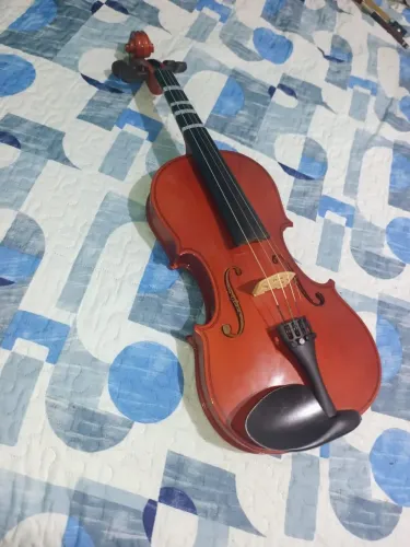Violino vogga 