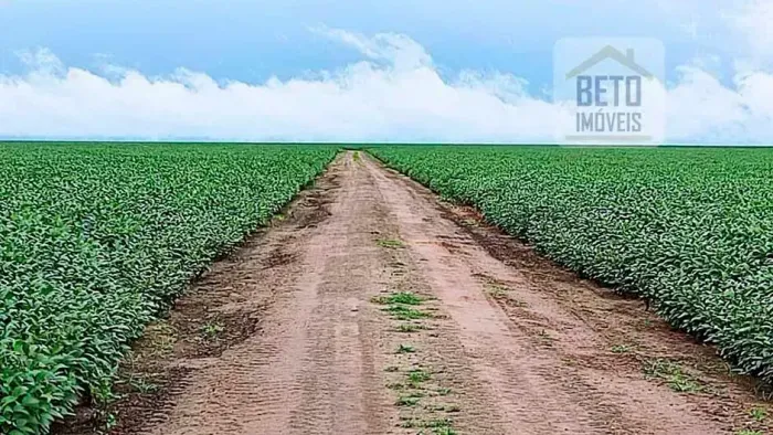 Fazenda/Sítio/Chácara para venda com 217500000 metros quadrados em Centro - São Félix de B