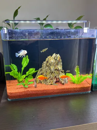 Aquário oceantech nano 32L vidro curvo