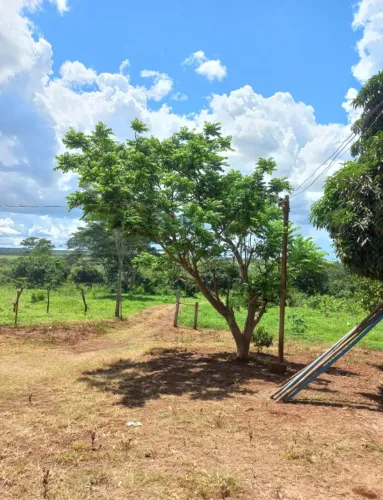 VENDA DE UM SITIO