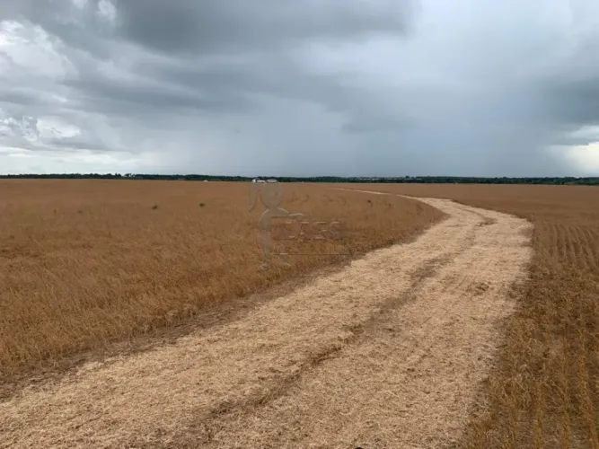 Fazenda 740,5 hectare à venda - Talismã-TO