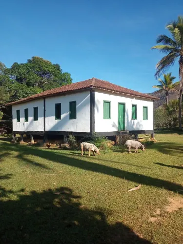 MADEIRAS DE DEMOLICAO DE CASAS ANTIGAS CENTENARIAS