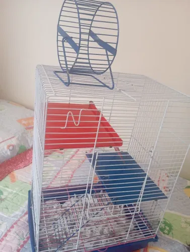 Gaiola hamster + metade de um pacote de ração e metade serragem grátis