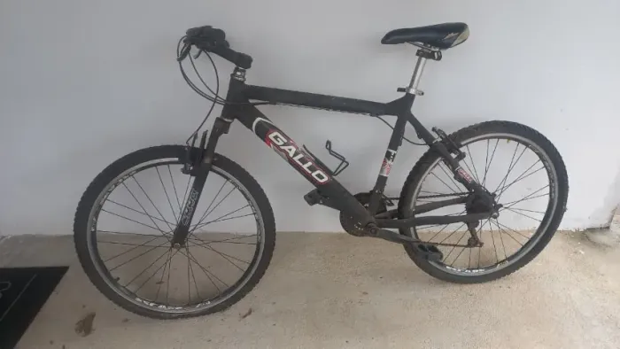 Bicicleta