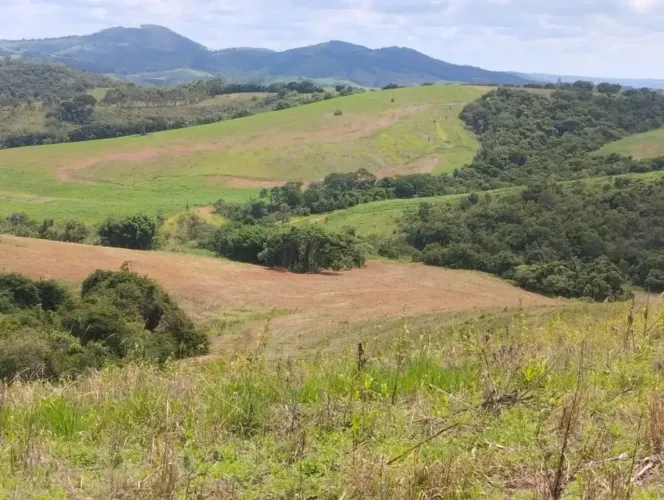 FAZENDA À VENDA EM Conceição do Rio Verde MG