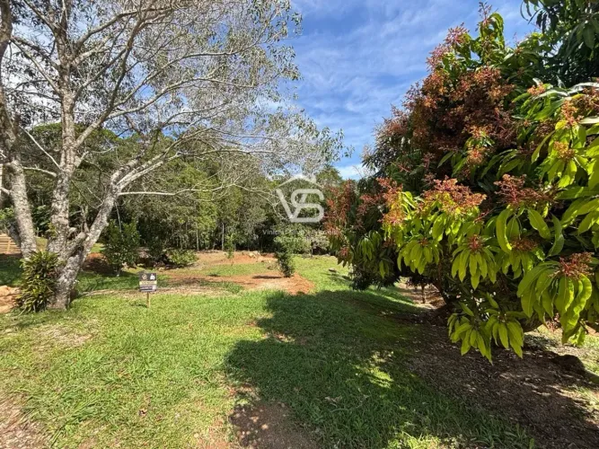 RARIDADE EM PAULO LOPES | 5.236 M² COM NASCENTE E MATA NATIVA