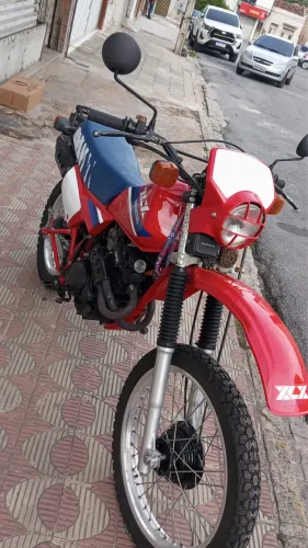 Xlx 250