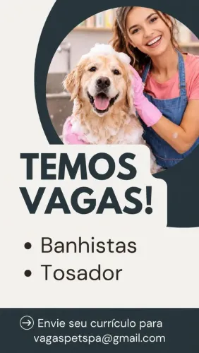 Banhista Pet (Não precisa de experiência) | Início Imediato